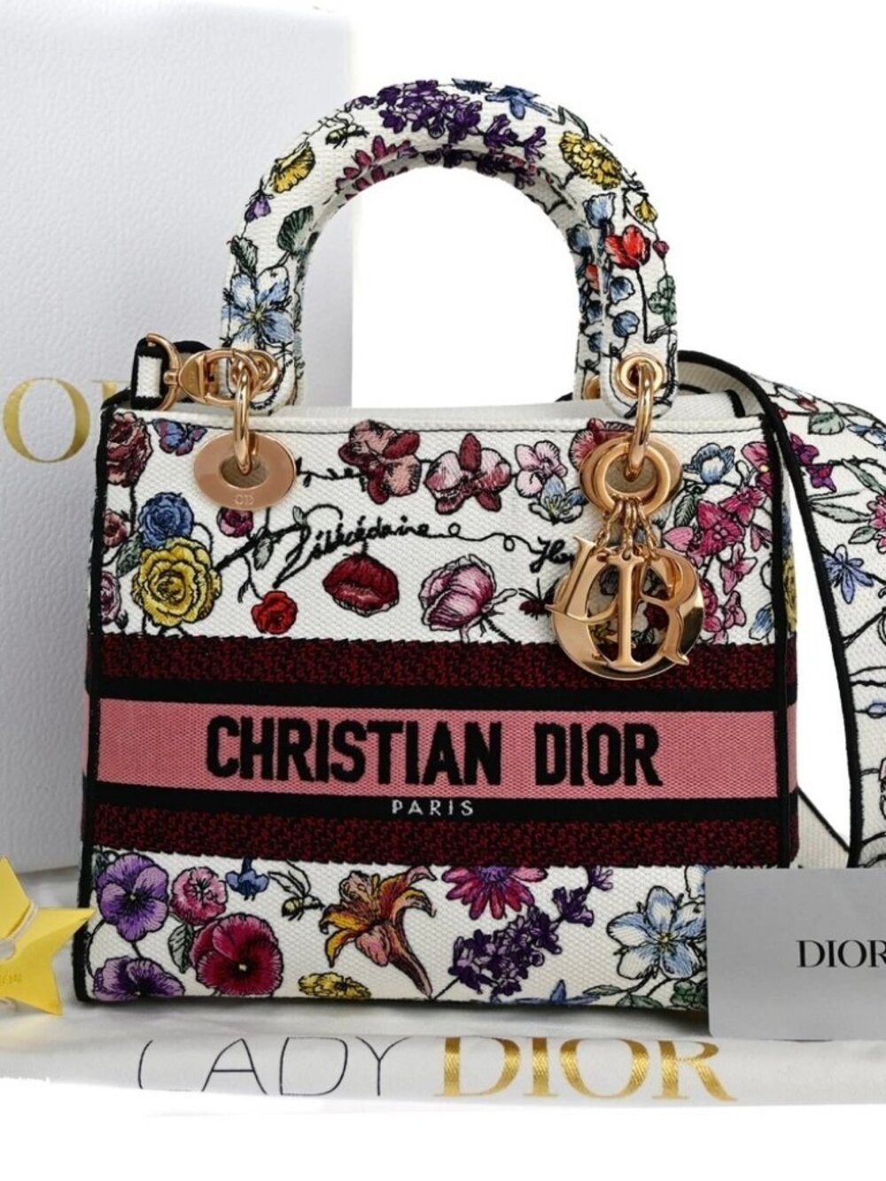 CHRISTIAN DIOR Lady D-Lite Florilegio Embroidery 2Way Hand Bag Canvas